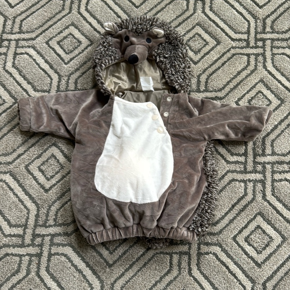 Target Baby Hedgehog costume Size 6-12mos